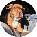 Isabella Frascone profile picture
