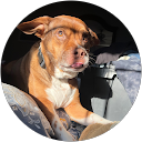 Isabella Frascone profile picture