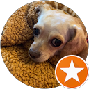 Izzy profile picture